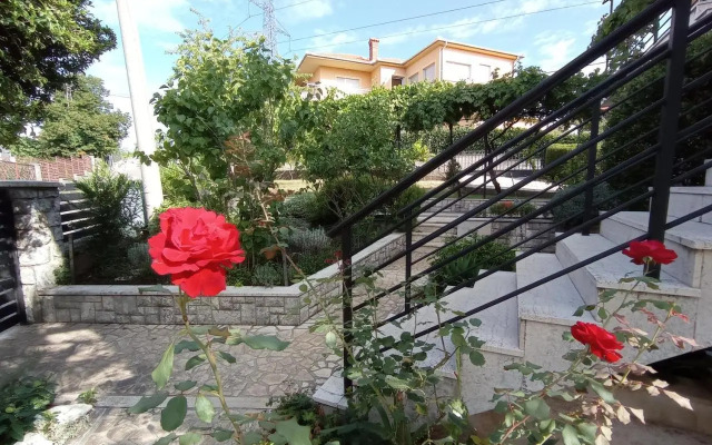 Apartman Šimun