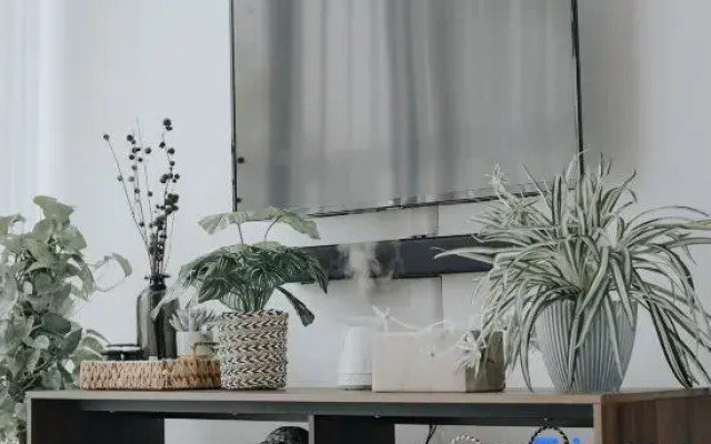 Omahe Malang Boho Urban Jungle Private House