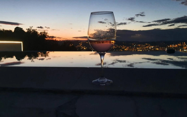 Villa Wineyard - VinoGrad