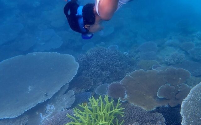 Teouma Reef Resort
