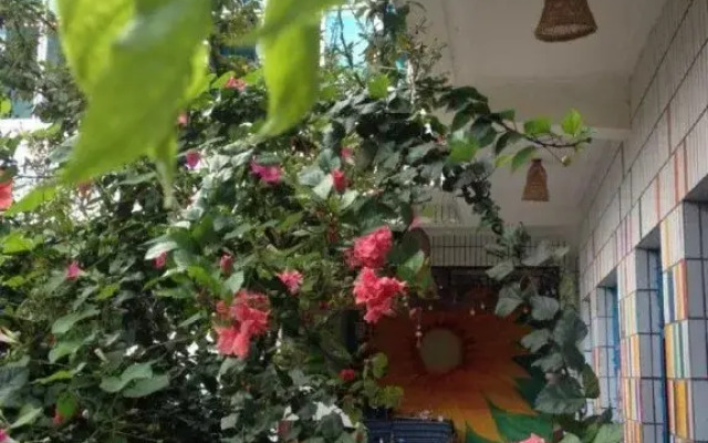 Wonderful Time Youth Hostel