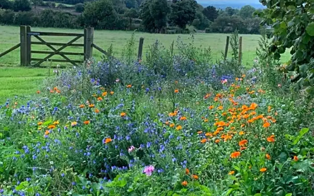 Farmhouse studio near Shrewsbury