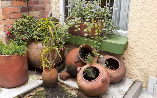 The Hostel Bogota Real