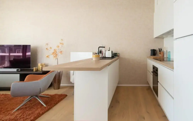 Apartment in Ostend With Terrace