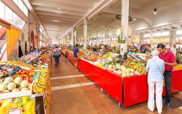 Suquet's Luxury Studio