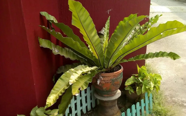 Sweet Inn Resort Hotel