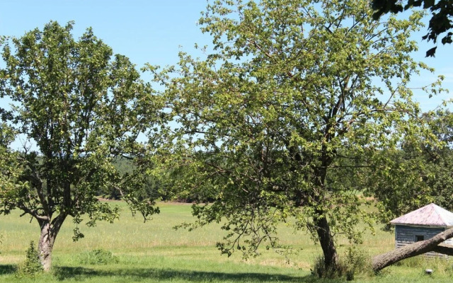 Gîte Touristique Prés et Vallons