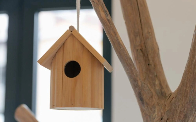 Retreat to a Stylish Concept House in Porto