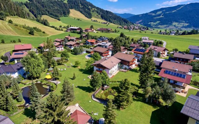 House Sonnberg Flachau 36931