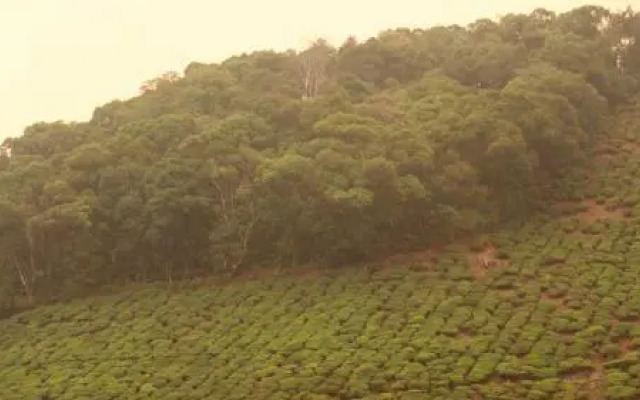 Sree Shanmuga Residency