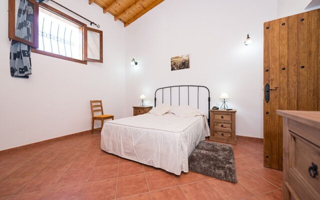 Amazing Typical Canary Rural House