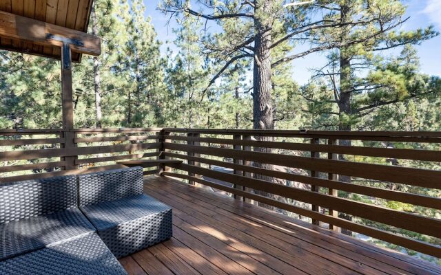 TreeHouse on Rainbow