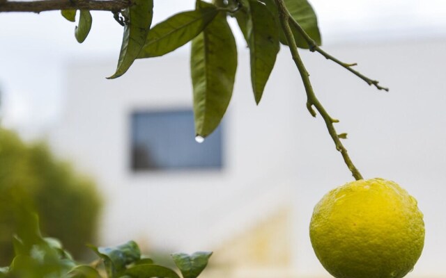 Modern Holiday Home in Sant Andreu de Llavaneres with Swimming Pool