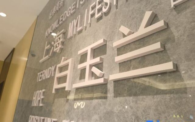 Magnotel（Business） Shanghai Wusong International Cruise Baoyang Road