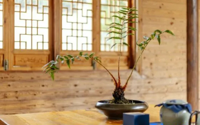 Yunshuiyu Moganshan Hot Spring Siheyuan Homestay