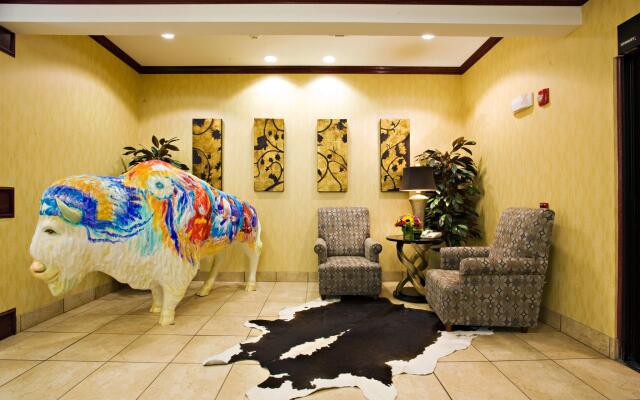 Holiday Inn Express &Suites Snyder by IHG