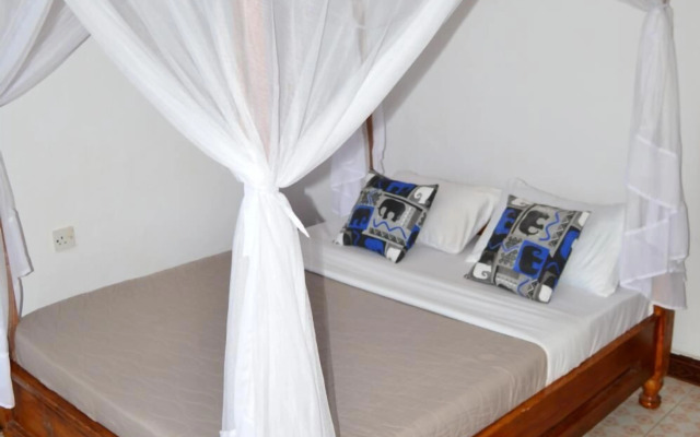 African wagtail hostel