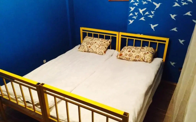 Zebra Hostel & Tours