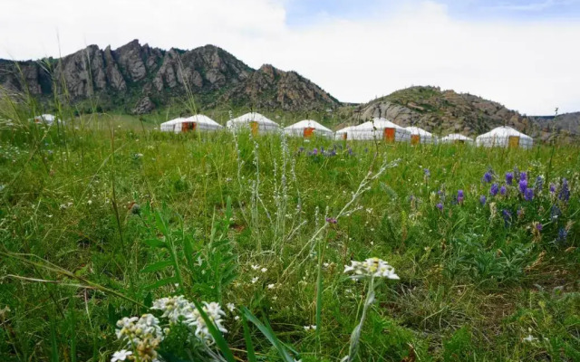 My Mongolia Eco Ger Camp