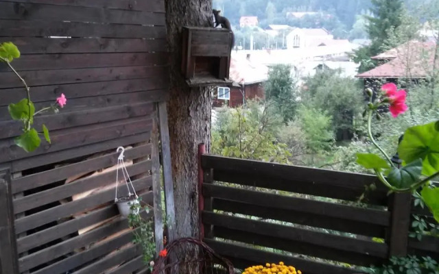 Pension Dariana