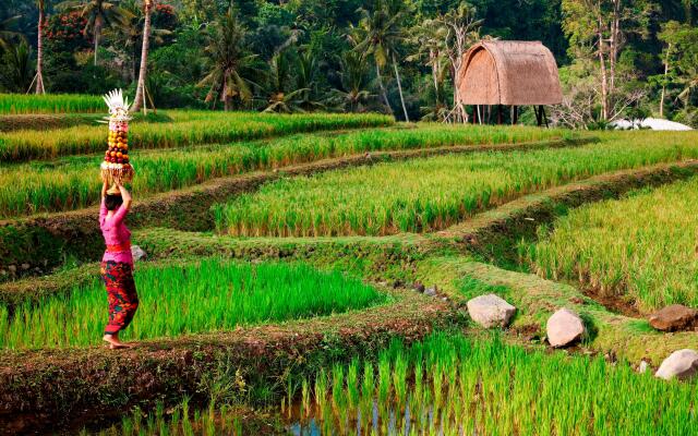 Mandapa, a Ritz-Carlton Reserve