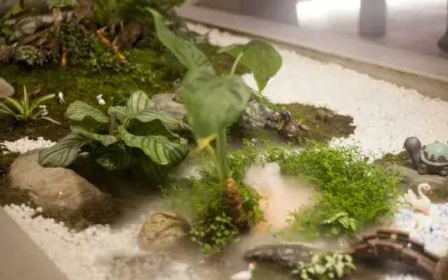 Hotel Du Temps Perdu