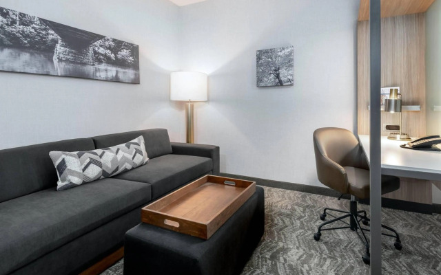 SpringHill Suites by Marriott Indianapolis Westfield