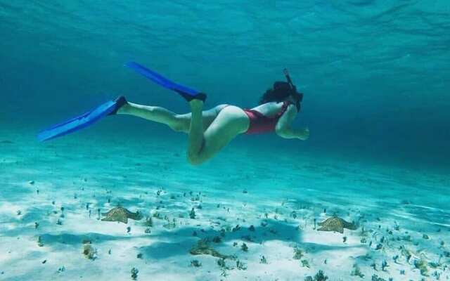 Viento Suites Cancún