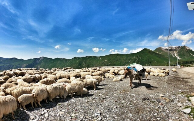 Gogo Apartments New Gudauri