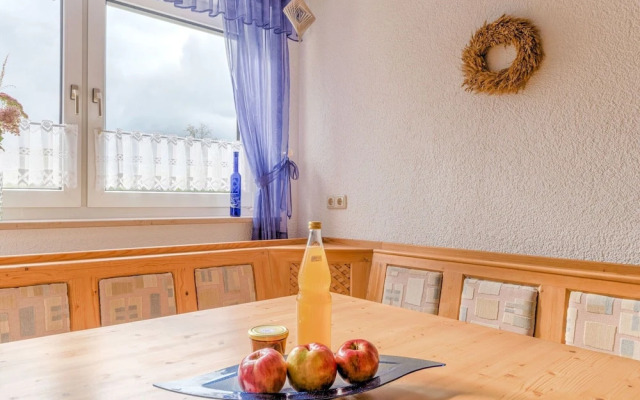 Apartment in Marktrodach With Sauna & Garden