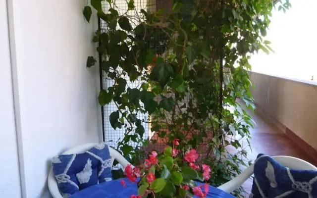 Apartment Suada