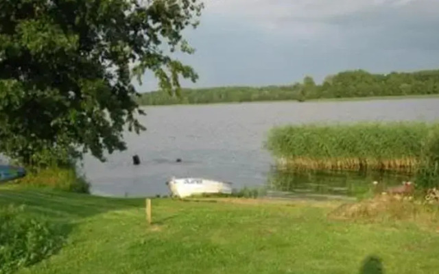 Przepiórka - Lisewo