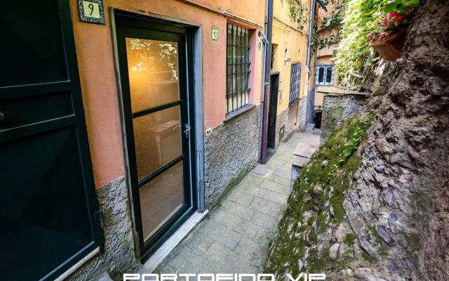 Your Window on Portofino