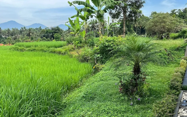 Maple Ridge Ubud Villas