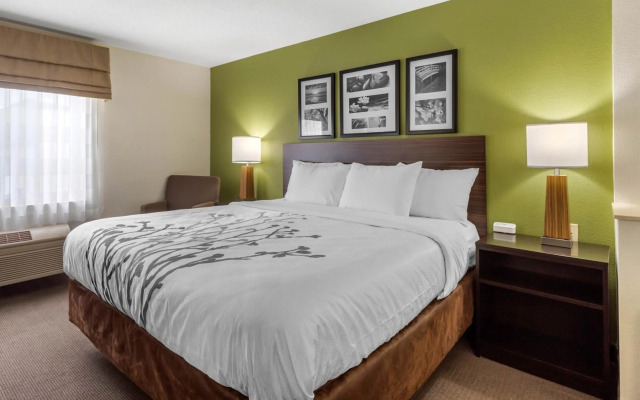 Sleep Inn & Suites Allendale