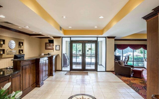 Comfort Inn & Suites