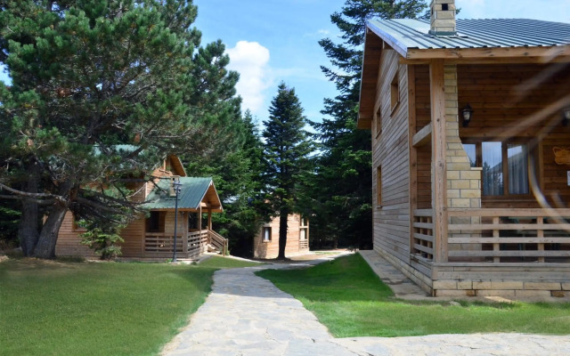 Uludag Orman Koskleri