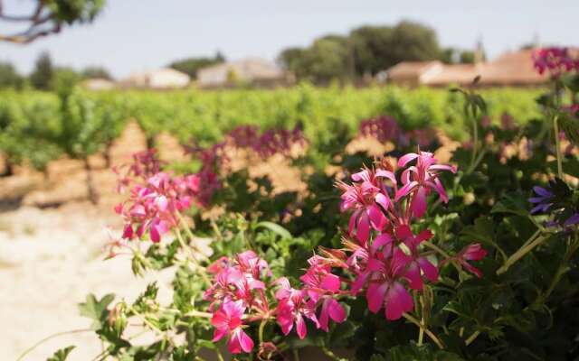 Detached Holiday Home on the Edge of a Vineyard at Châteauneuf-du-pape