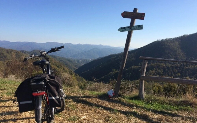 Agriturismo degli Olivi