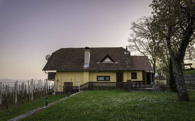 Vineyard Cottage Hocevar