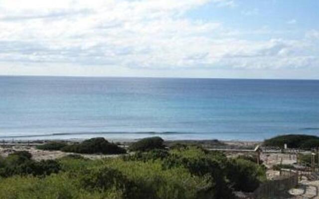 Viviendas Es Carritx