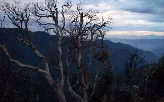 Kausani Best Inn