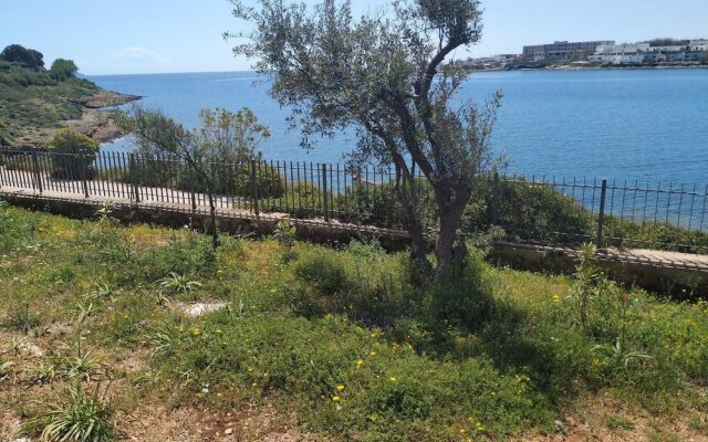 Beautiful Beach House At Sounio