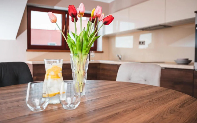 POINT flat, beautiful view from terrace to Prague Castle