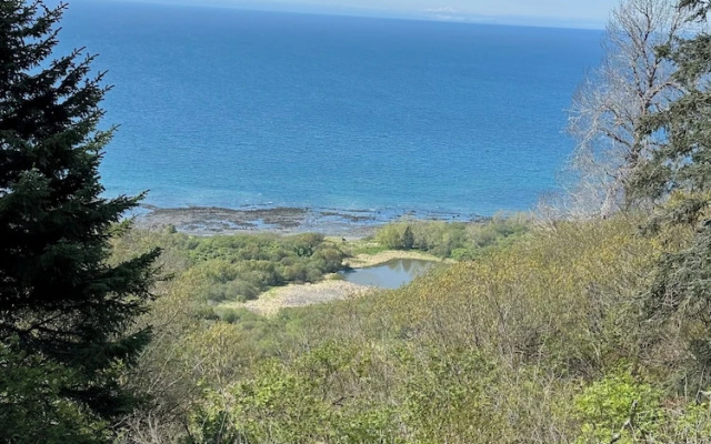 Paradise Suites Eagles Nest Apt C