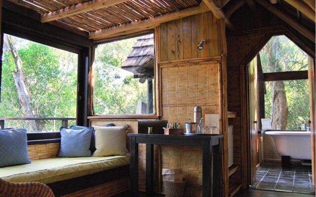 Phantom Forest Eco Reserve
