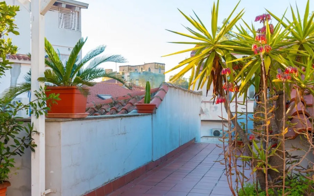 Martini Green House in Torre Grande