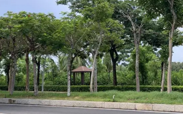 Sanya Father mark tribe