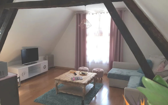 Troyes appartement centre ville