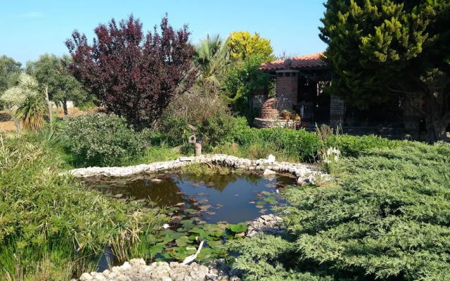 Anemon Ozdemir Bag Evi